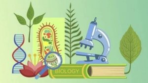 Биология 6 класс. Бесполое размножение.