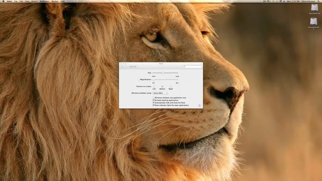 Mac OS X Lion- Dock Preferences смотреть онлайн