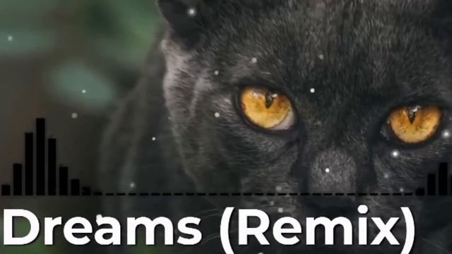 Fleetwood Mac - Dreams (DubMix) (Produced By C.Butt$)