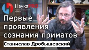 Первые проявления сознания приматов – Станислав Дробышевский | Лекции по антропологии | Научпоп