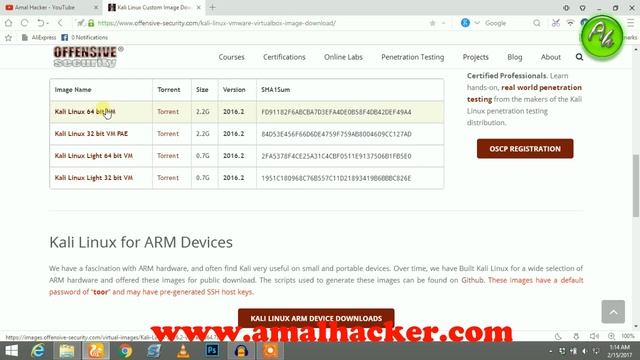 How to Install Kali Linux on Windows(really easy) - Install Kali Linux on Any Windows Version!! смотреть онлайн