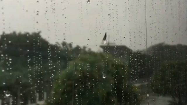 Gentle Rain Sounds For Sleeping, Waiting Rain in Back Window Office ● Relaxing for Stress Relief смотреть онлайн