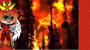 "СТИХИИ" МЕМЕ💙