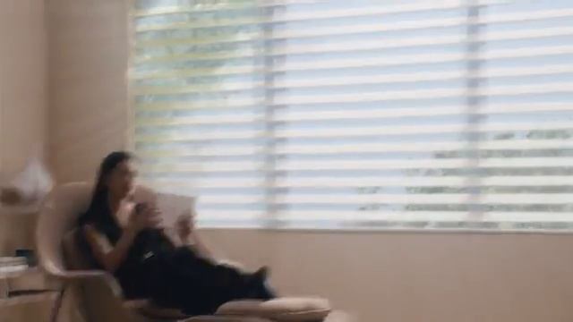 Explore The Art of Window Dressing™ смотреть онлайн