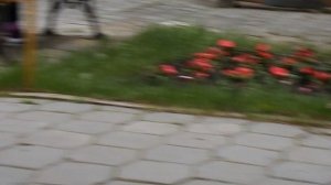 DSCN1171Кисловодск Санаторий ПИКЕТ  2017