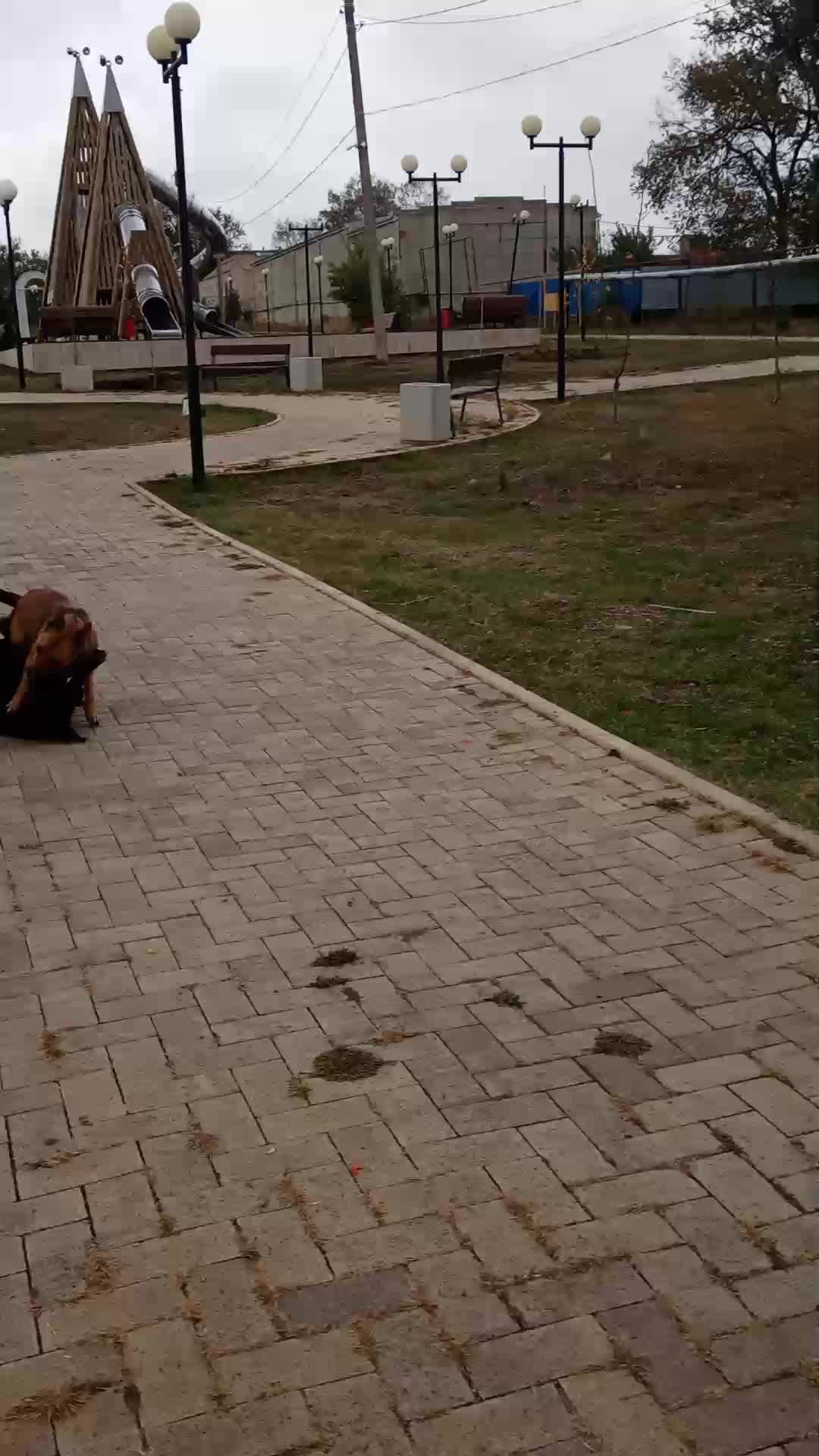 Прогулка