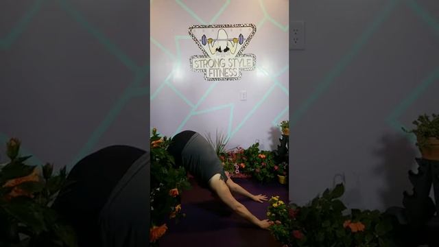 Happy Shoulders Circuit: Mobility Series Pt 2 смотреть онлайн