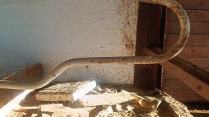 Размеры бугеля бокса при беспривязном содержании коров