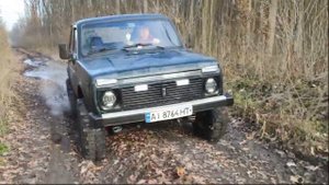 На ниве по лесу