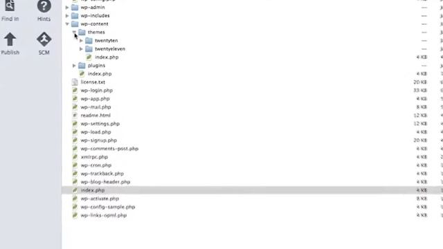 Using Coda 2 with DesktopServer Premium Edition смотреть онлайн
