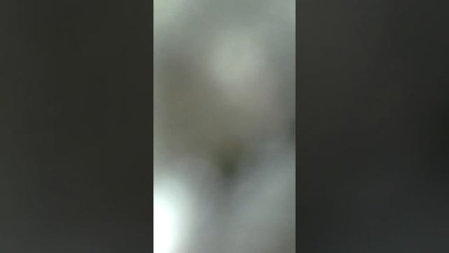 Челенлд заперты в ванной смотреть онлайн