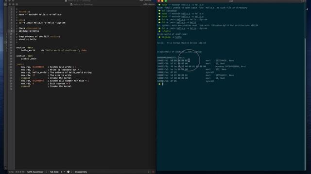 Fun with machO x86-64 shellcode (Part 1) смотреть онлайн