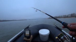 Судак с первого заброса, Обь в черте города.