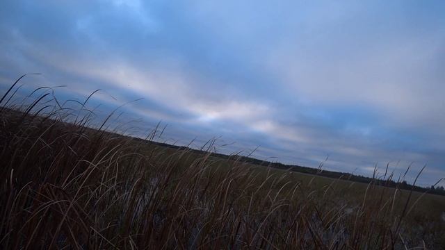 ВСЕ В ШОКЕ ОТ ЭТОЙ ОХОТЫ И ДАЖЕ МАХНОРЫЛ.ОХОТА НА УТКУ. смотреть онлайн