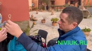 Обзор Niviuk Arrow. Часть 2
