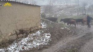 Село Микрах - Докузпаринский район 2015