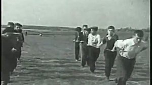 Советский орнитоптер