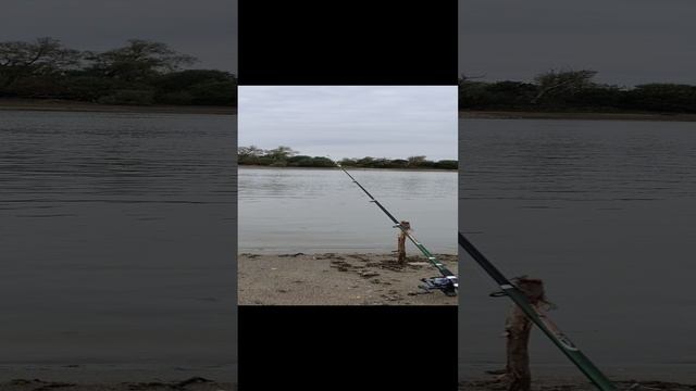 Дорогие друзья, желаю здоровья вам и вашим родным!