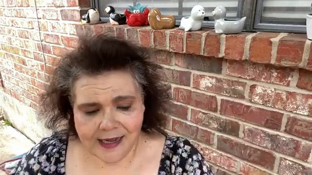 Dollar Tree Haul 6-13-23