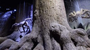 FULL TOUR of Warner Bros. Studio Tour London Making of Harry Potter I Hogwarts in the Snow, Top Tip