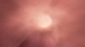 Total war Warhammer. Opening(Sharlotta)