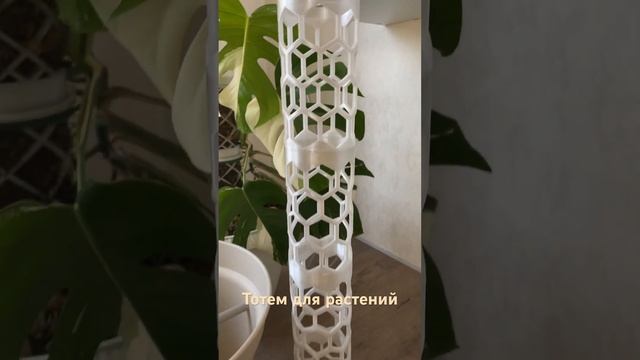 Секционный тотем для растений смотреть онлайн