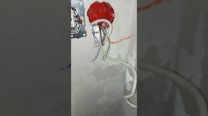 Интернет розетка rj45 Атлас Дизайн vs Гуси Электрик.