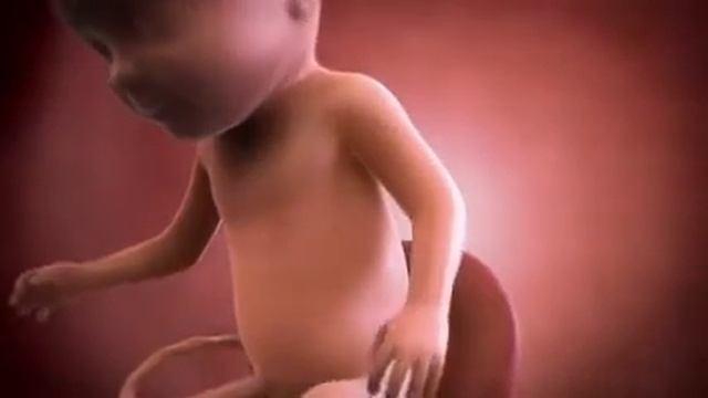 Your baby at 31 weeks | Week-by-week pregnancy | MadeForMums
