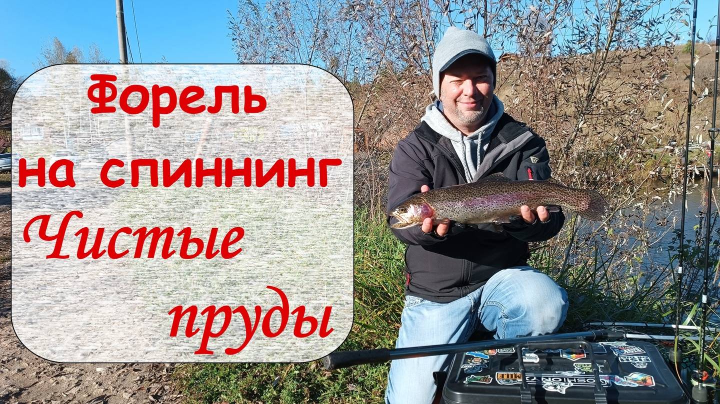 Форель на спиннинг. Чистые пруды