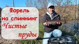 Форель на спиннинг. Чистые пруды
