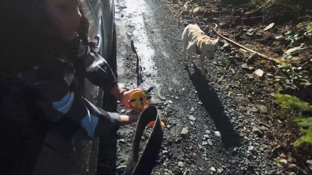 Elaho Valley, Squamish смотреть онлайн
