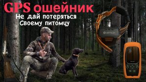 Обзор GPS ошейника