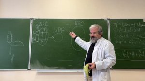 Теория функциональных систем П К Анохина  в украинской политике.