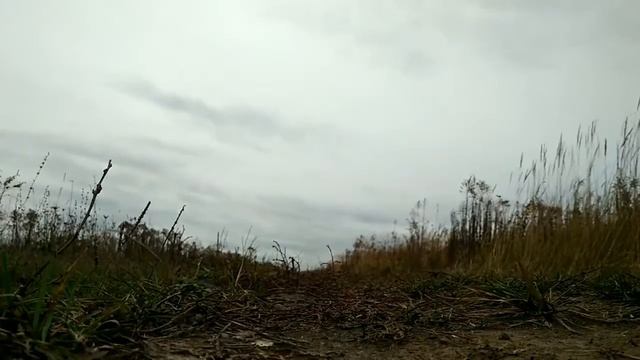 ЗИЛ 157. 60 км/ч это не предел.