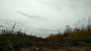 ЗИЛ 157. 60 км/ч это не предел.