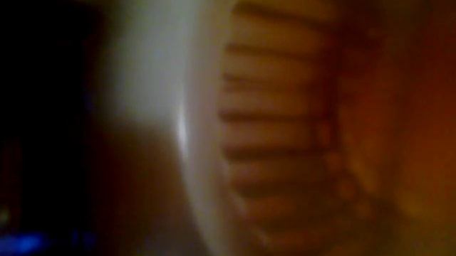 MILOVAN PETKOVIC-MIXON I MILOS DZIMI...SKITNICA..(SINAN SAKIC) смотреть онлайн