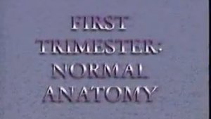 Фильм «Ультразвук, или Свидетельство о самых ранних днях жизни»