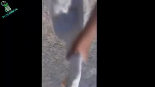 Que Sensei Tan Agradable (XD) смотреть онлайн