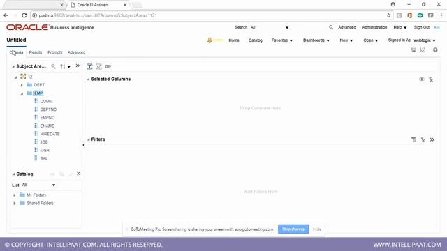 OBIEE online training ---Intellipaat смотреть онлайн