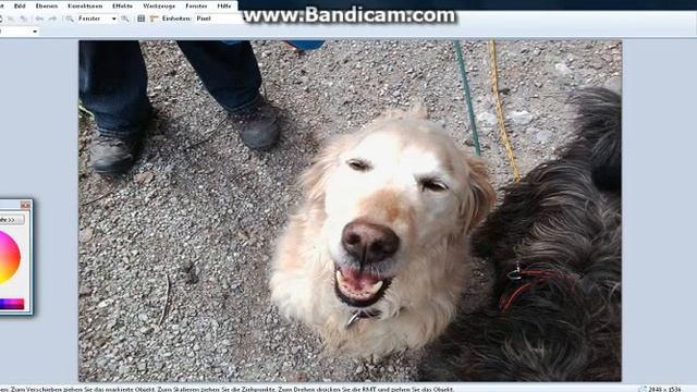 Paint.net Tutorial смотреть онлайн