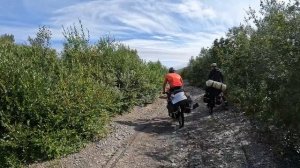 Северное побережье Мотовского залива