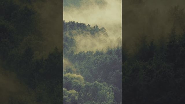 Вариации звука windows 2000 (*20 звуков*) смотреть онлайн