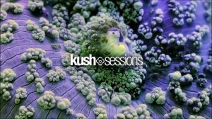 #005 Liquid Love (Liquid Drum & Bass Mix)