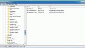 Windows script host