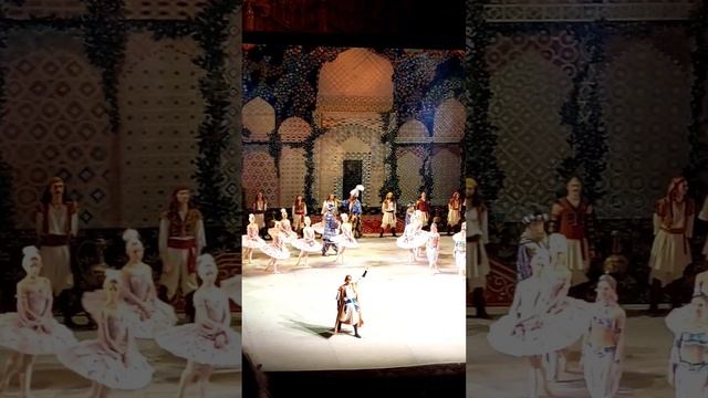 Люблю эти последние минуты в театре  Какие балерины красивые! #балет #петербург
