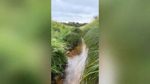 Фонарь на все случаи. Фонарь для охоты. Ходовая охота на утку. Лютый не вернулся на бивак.