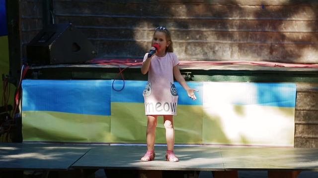 Валерия Ткачук ( фестиваль полевой кухни) смотреть онлайн