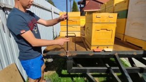 Прицеп для кочëвки УЗМК#bienenhaus #УЗМК#пчеловодство #пасека #пчёлы #кочёвка#мед #ульи