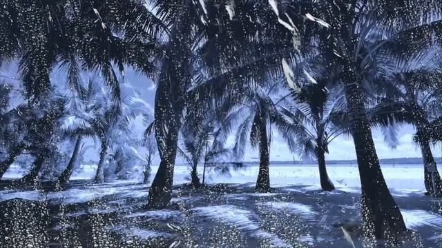 Raining, Wind Sounds & Thunderstorm for Sleep | Rain on Window with Thunder and Wind Ambience