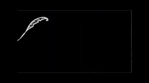 Fremantlemedia logo effects imovie 6 hd 4x